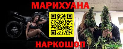 сатива Будённовск