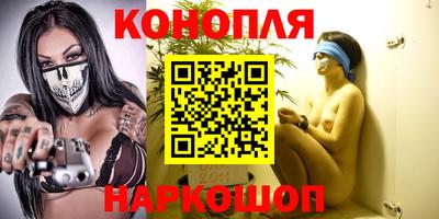 сатива Будённовск