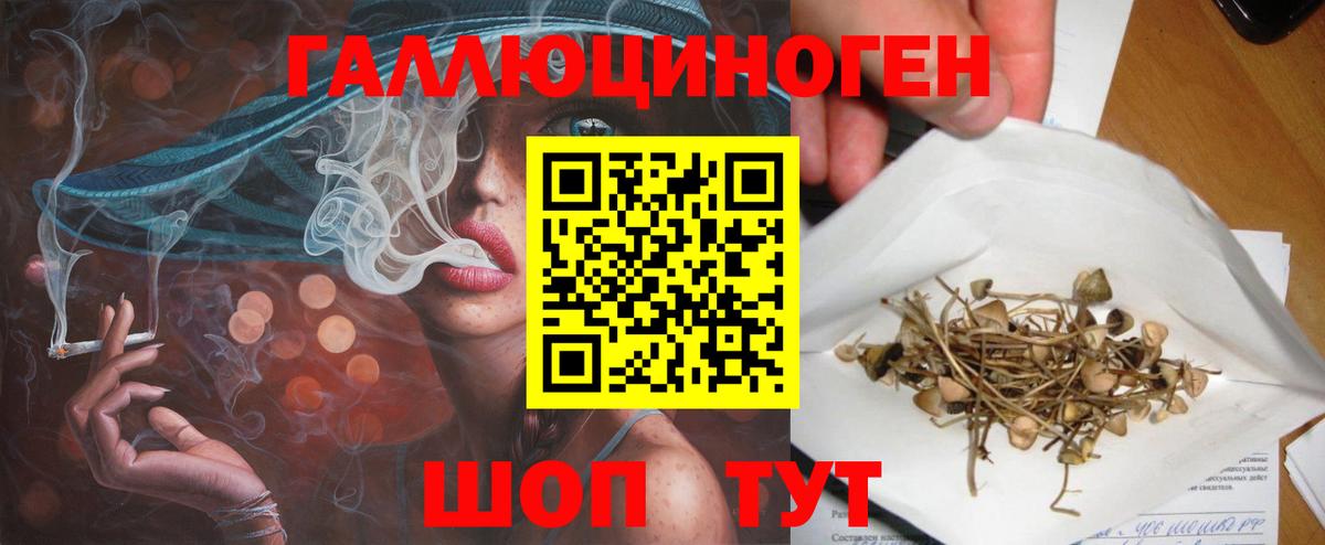 Миасс  Галлюциногенные грибы Cubensis  Вход с VPN  Галлюциногенные грибы Psilocybine cubensis 
