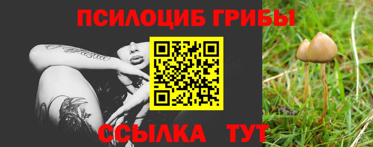 Галлюциногенные грибы GOLDEN TEACHER Миасс
